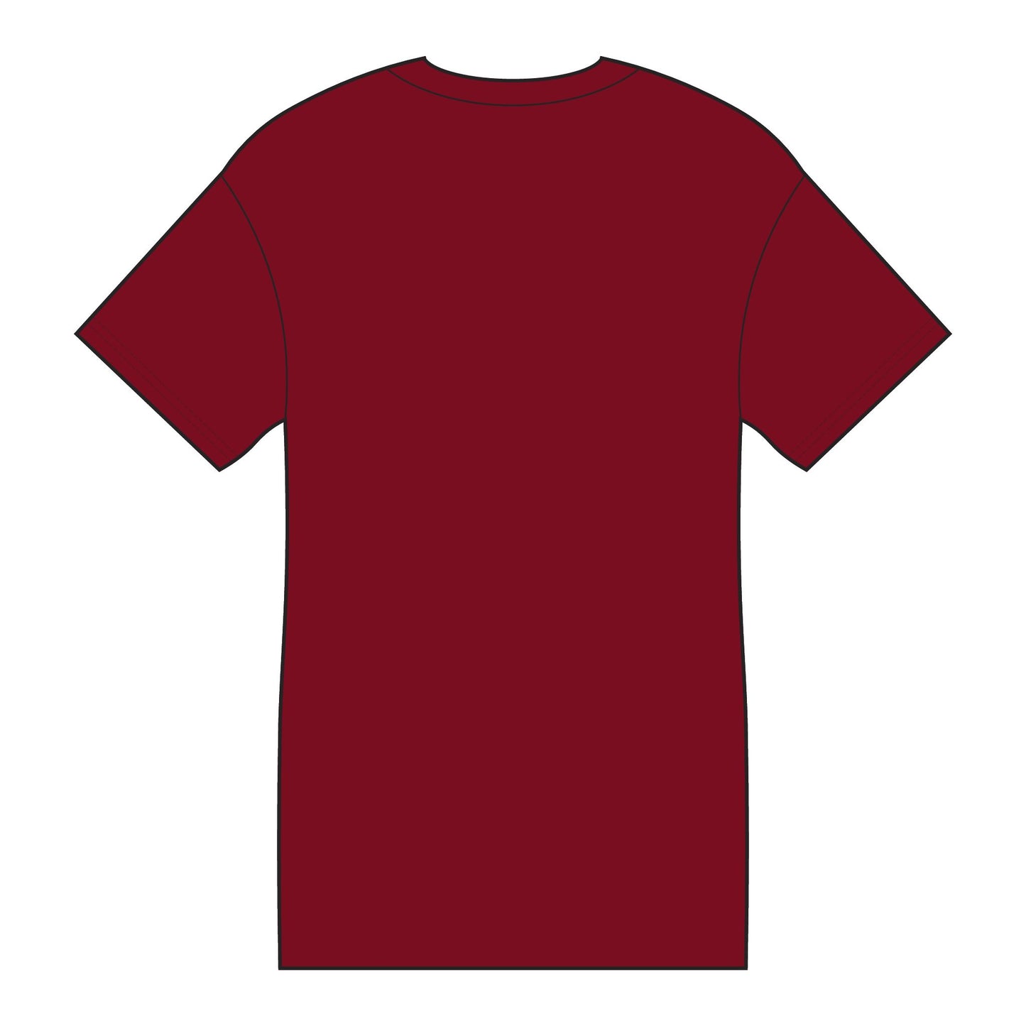 Patriotic Bird Tee: Fun USA Graphic T-Shirt, Perfect for July 4th, BBQs, Family Gatherings, Bird Lovers, Casual Wear